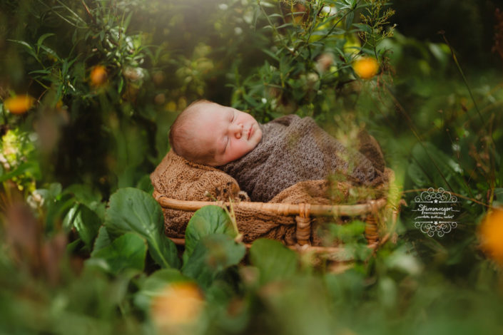 Neugeborene draußen fotografieren Natur Babyfotos Wiese Outdoorfotoshooting mit Baby Bruchsal Karlsruhe Heidelberg