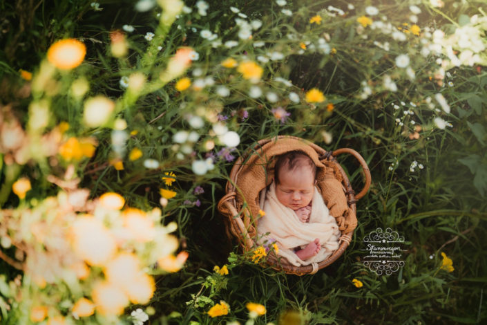 Babyfotoshooting outdoor Babyfotos draußen Karlsruhe Neugeborenenshooting in der Natur Bruchsal Baby mit Blumen