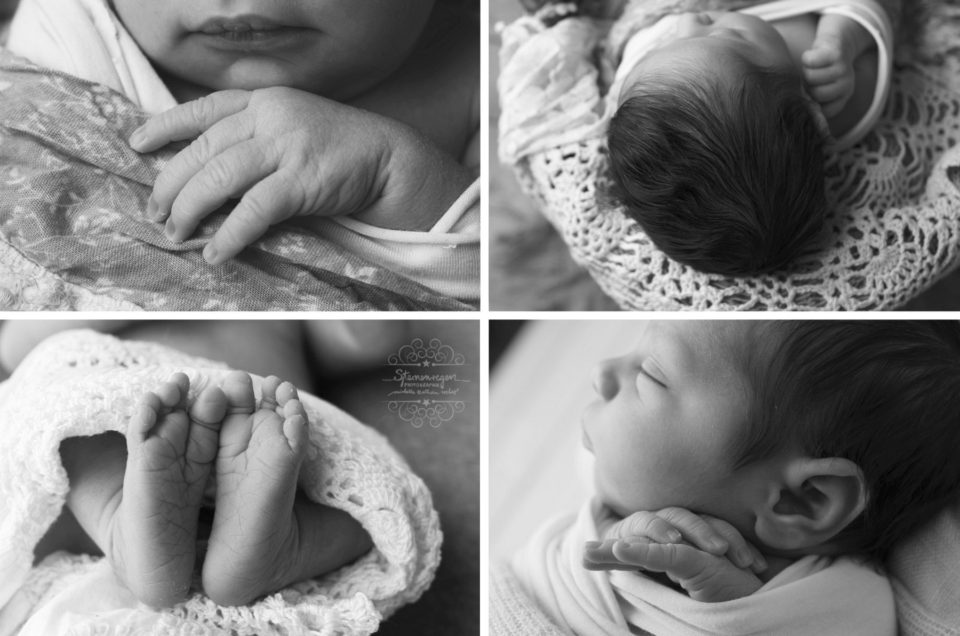 Detailverliebt- Neugeborenenshootings bei Sternenregen Photographie