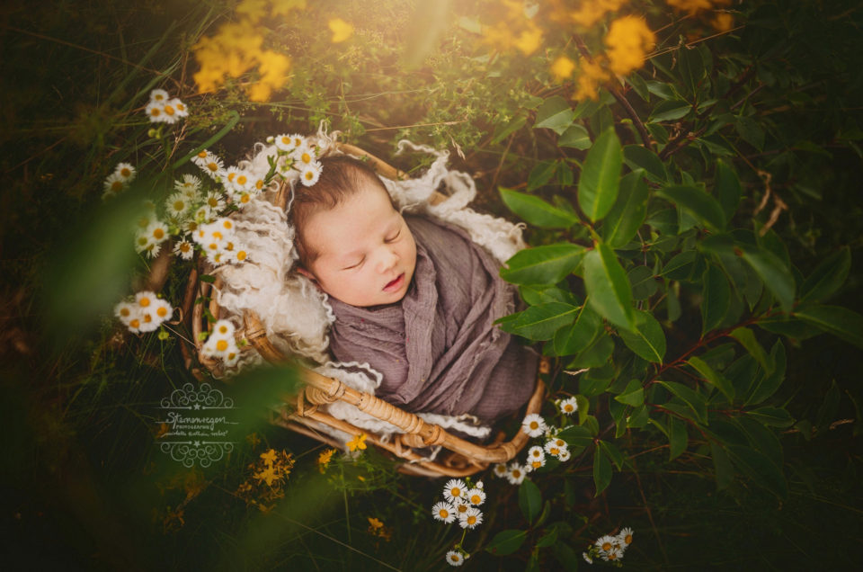 Neugeborenenfotografie in der Natur- Baby Outdoorshooting