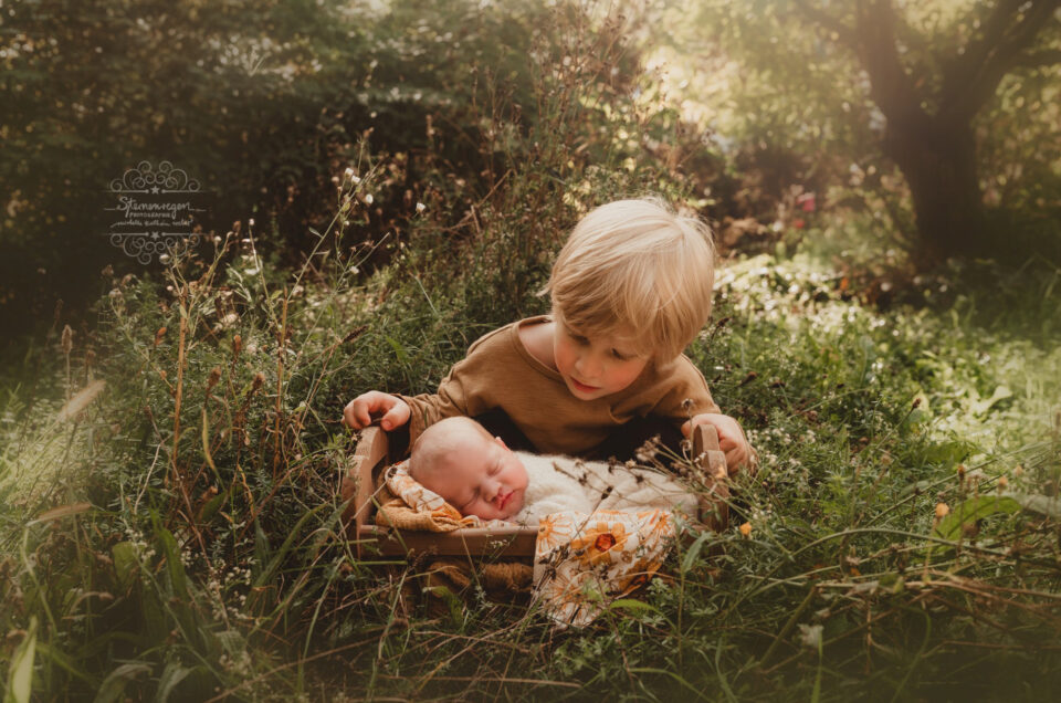 Familienfotos und Babybauchfotos in der Natur – rund um Bruchsal