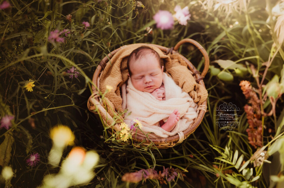„Kinder sind wie Blumen… Babyfotos in der Natur bei Bruchsal
